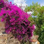 Masseria De Donno Villa *