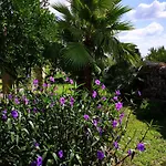 Masseria De Donno Villa Specchia
