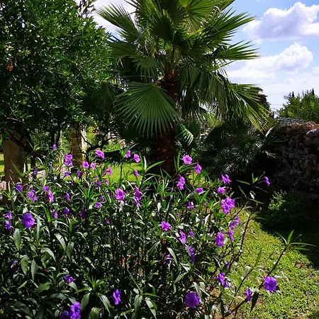 Masseria De Donno Villa Specchia