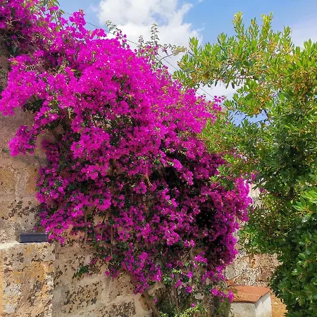 Masseria De Donno Отель типа 