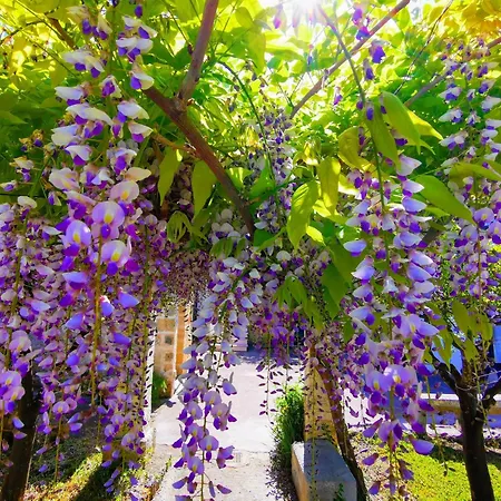 Masseria De Donno 3*