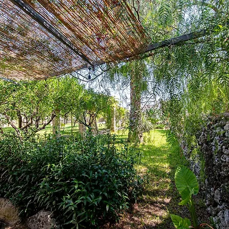 Masseria De Donno Отель типа 