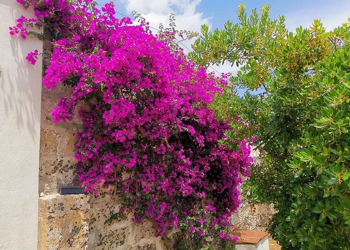 Masseria De Donno Vila *